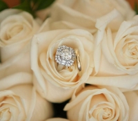 0086LynsiRikiWEDD